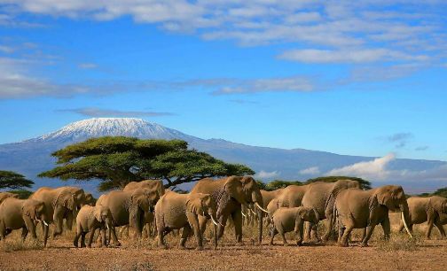 2ed66c5541701ebb4ddcbc9a867edbfa